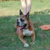 DSC_1061.JPG