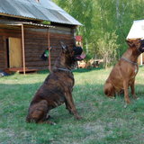 DSC_1062.JPG
