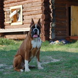 DSC_1064.JPG