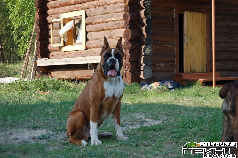 DSC_1064.JPG