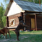 DSC_1065.JPG