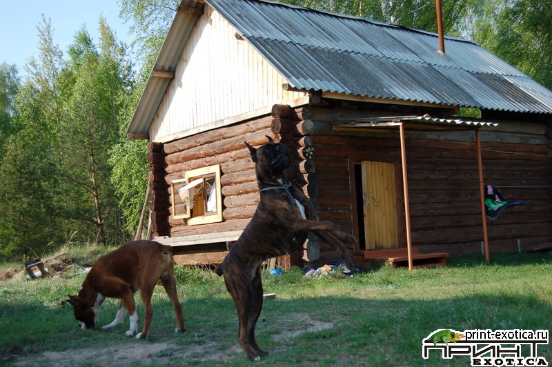 DSC_1065.JPG