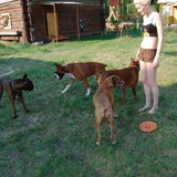 DSC_1069.JPG