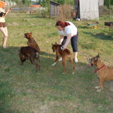 DSC_1073.JPG