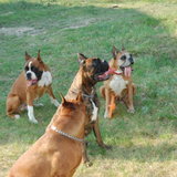 DSC_1076.JPG
