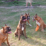 DSC_1077.JPG