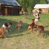 DSC_1081.JPG