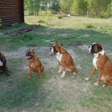 DSC_1091.JPG