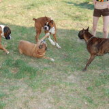 DSC_1106.JPG