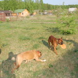 DSC_1107.JPG