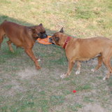 DSC_1112.JPG