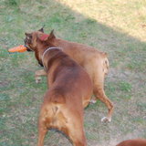 DSC_1113.JPG