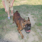 DSC_1115.JPG