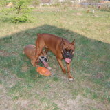 DSC_1116.JPG