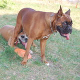 DSC_1117.JPG