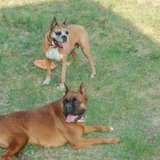 DSC_1141.JPG