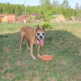 DSC_1152.jpg