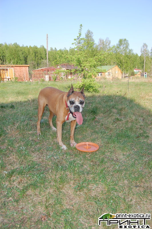 DSC_1152.jpg