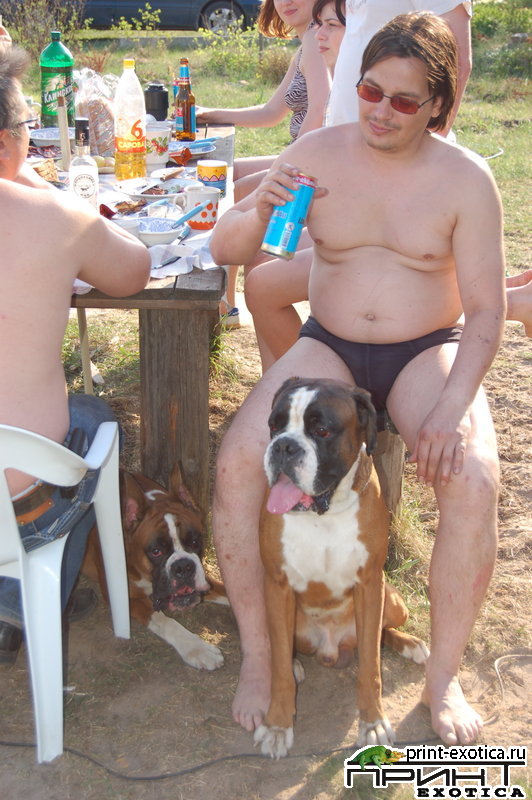 DSC_1154.jpg