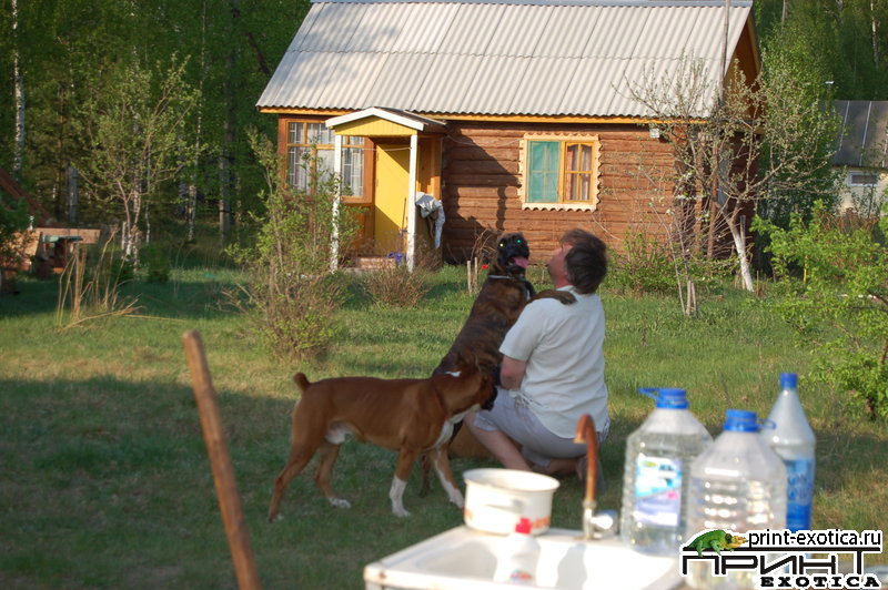 DSC_1159.JPG