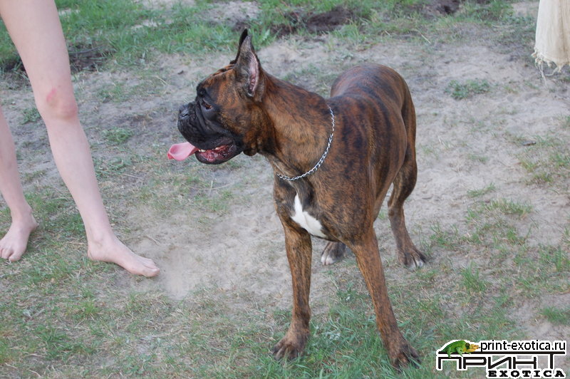 DSC_1161.JPG