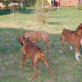 DSC_1162.JPG