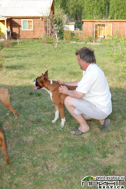 DSC_1164.jpg