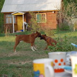 DSC_1198.JPG