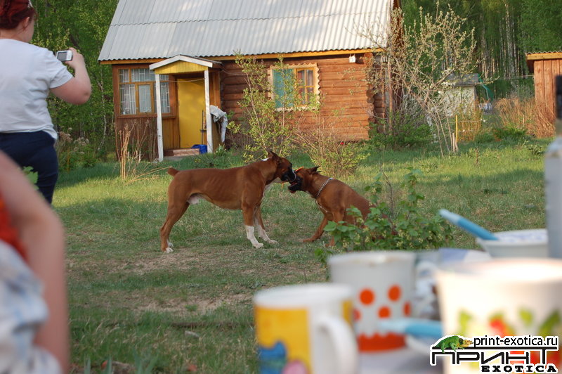 DSC_1198.JPG