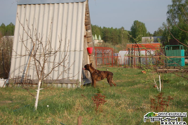 DSC_1204.JPG