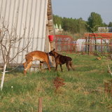 DSC_1205.JPG