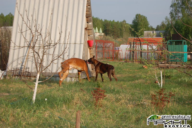 DSC_1205.JPG