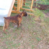 DSC_1224.jpg