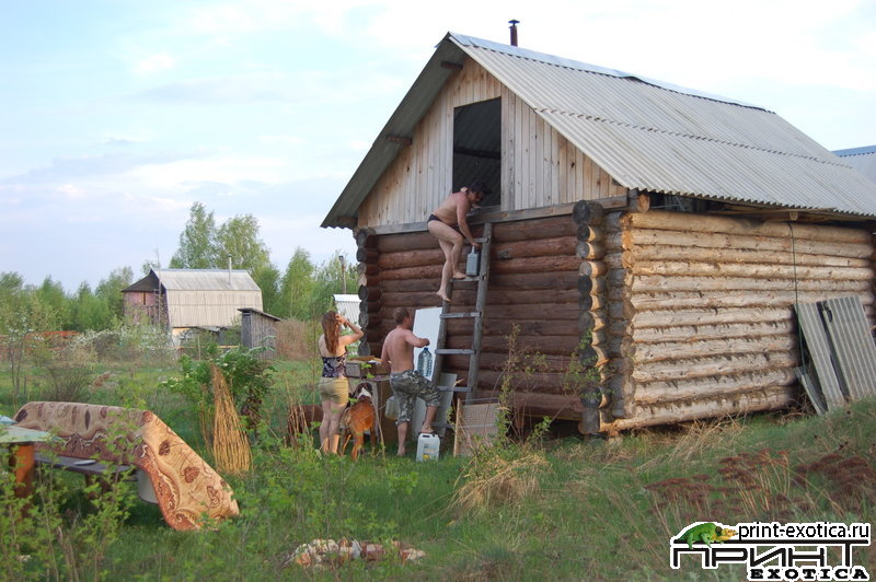 DSC_1226.JPG