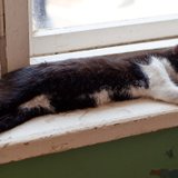 DSC04394.jpg