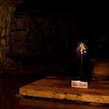 DSC04516.jpg