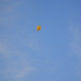 IMG_0045_230510.JPG