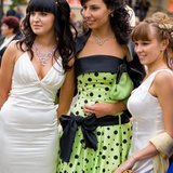 _DSC7784.jpg