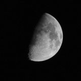 IMG_7169