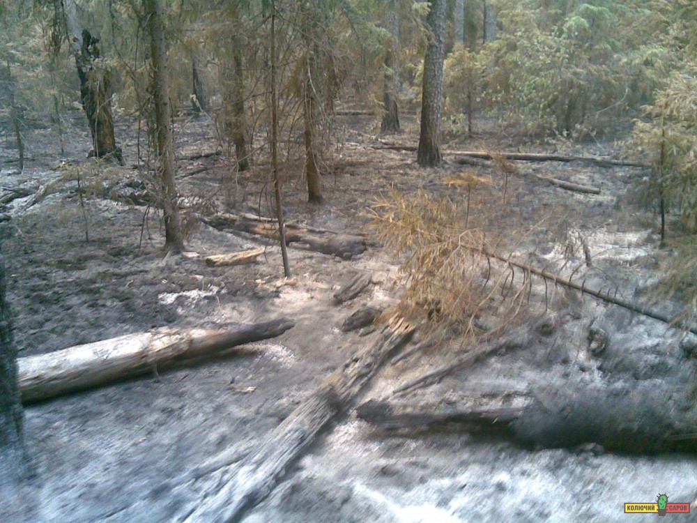04082010_027_.jpg
