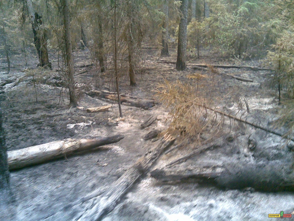 04082010_027_.jpg
