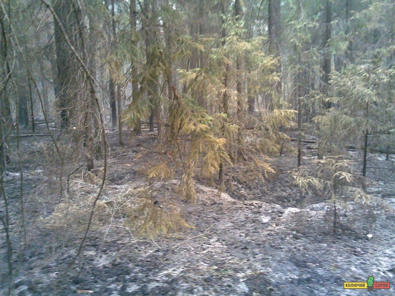 04082010_031_.jpg