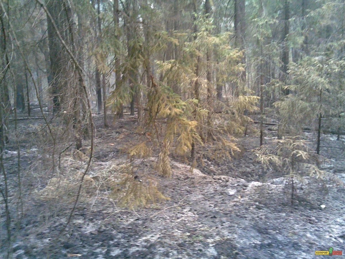 04082010_031_.jpg