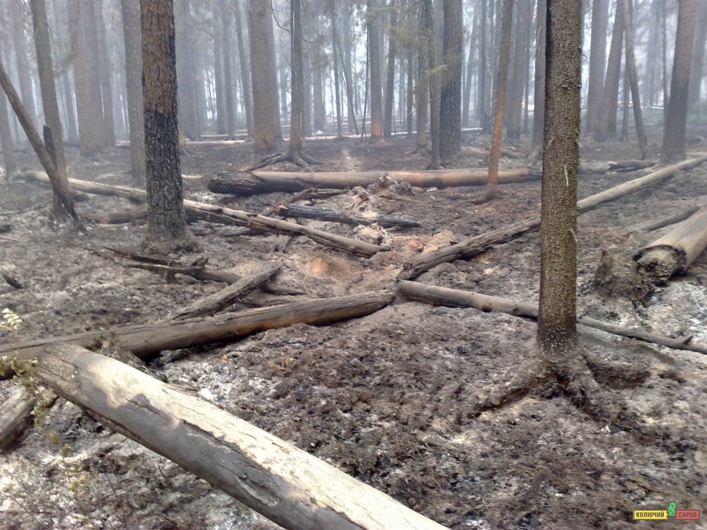 05082010779.jpg