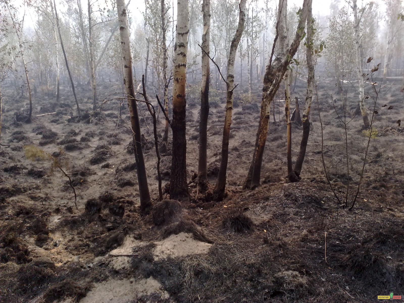 05082010781.jpg