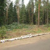 Resize of IMG_0047.JPG