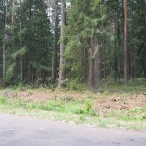 Resize of IMG_0048.JPG