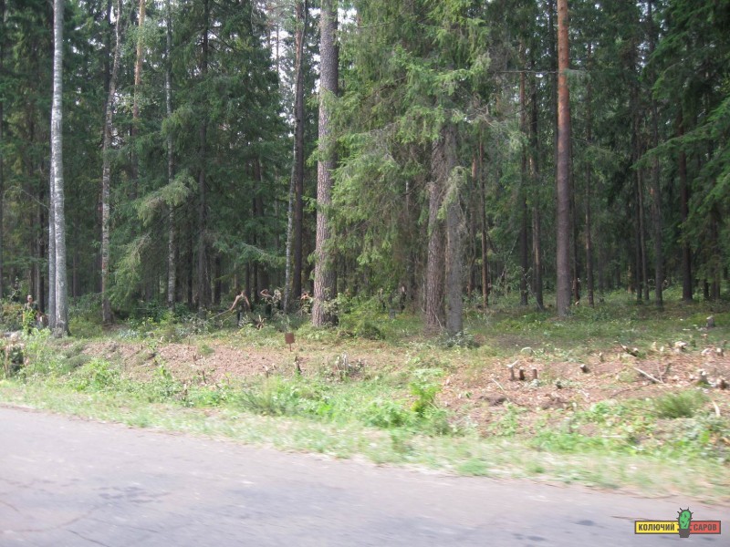 Resize of IMG_0048.JPG