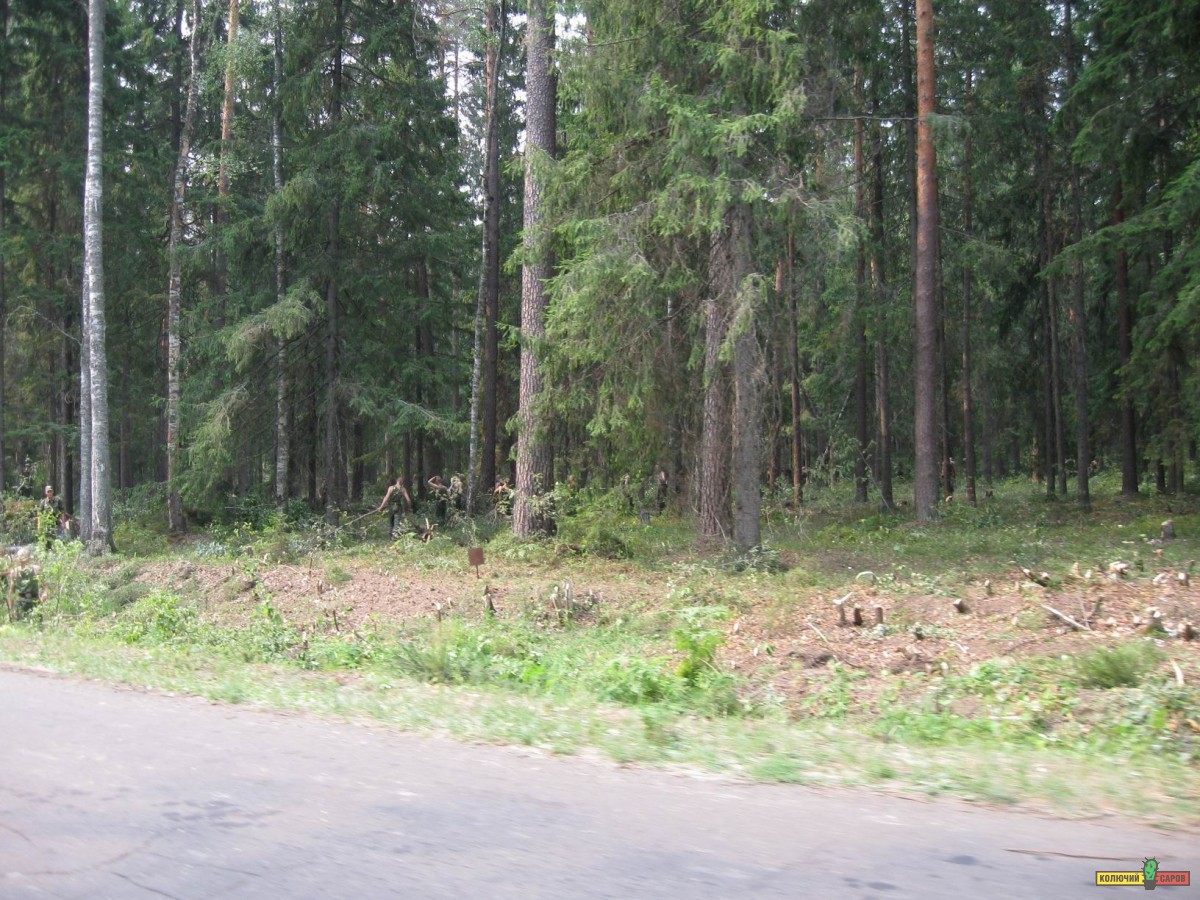 Resize of IMG_0048.JPG
