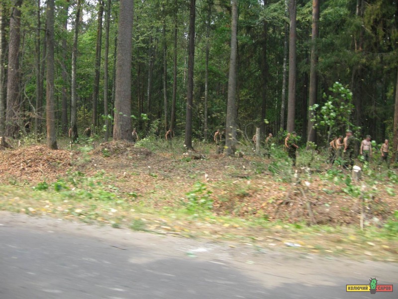 Resize of IMG_0050.JPG